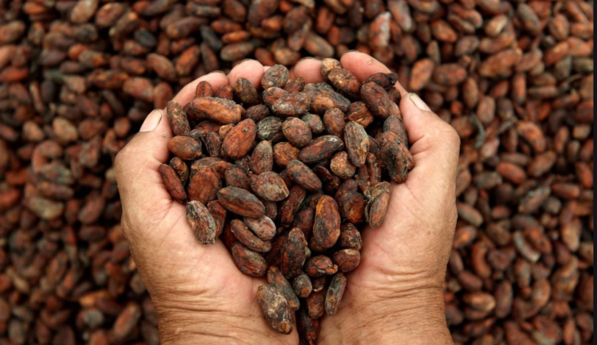 Nestlé will invest US$3 million in order to boost the consumption of Mexican cocoa