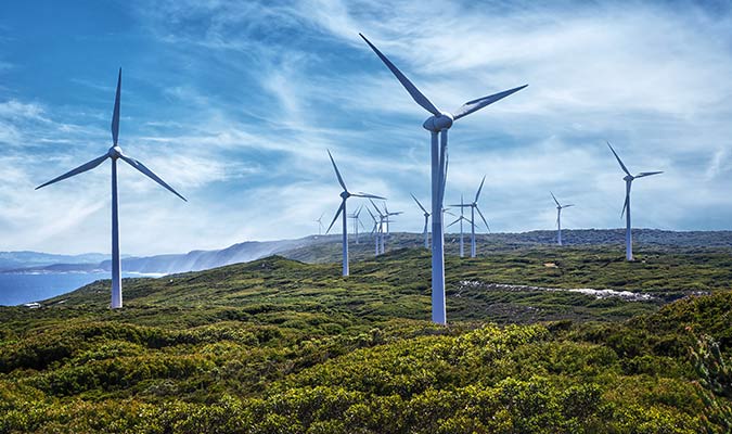 Iowa and Texas are leaders in wind energy