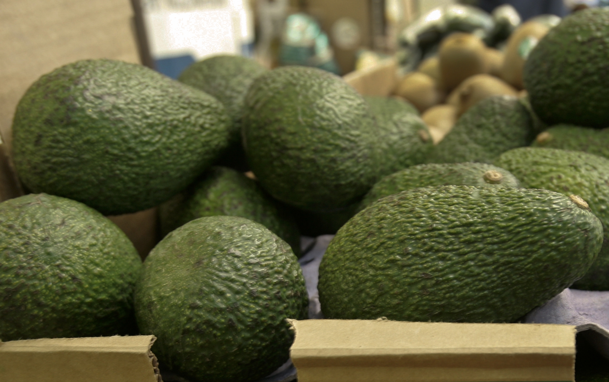 Mission to open massive Texas avocado center