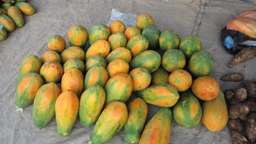 FDA revisits food safety with Mexican papaya industry
