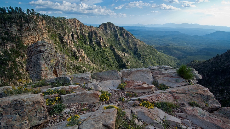 USDA and Arizona Sign Shared Stewardship Memorandum