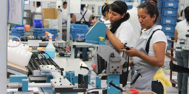 Employed personnel in economic sectors registers   6.9% fall