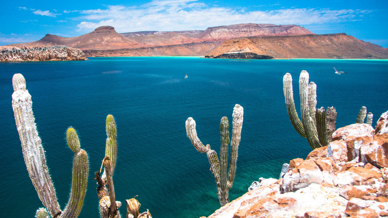 Baja California Goes After Big Industry Water Users