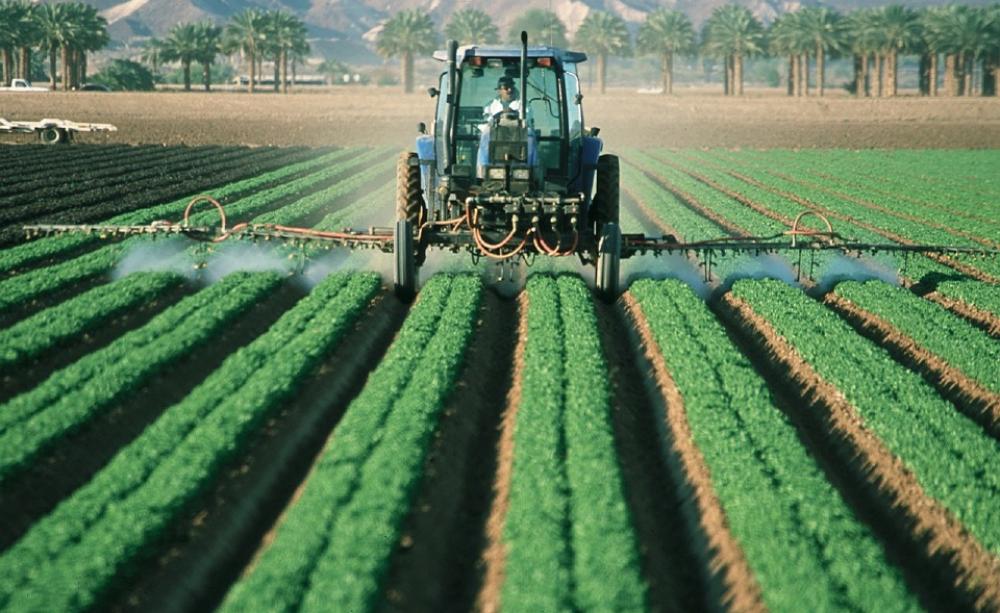 agriculture-industry-is-second-most-favorable-in-new-mexico-mexiconow