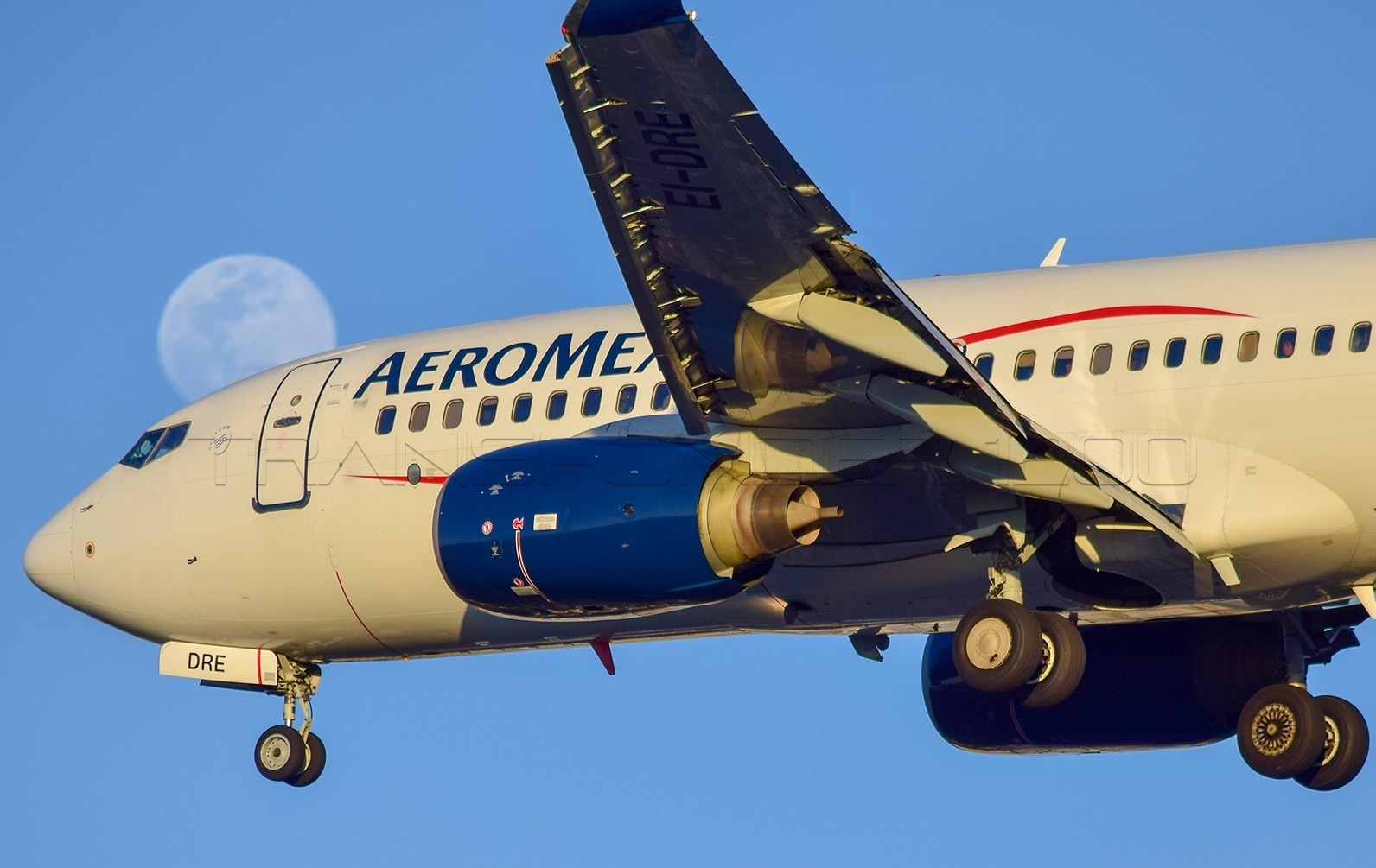 Aeromexico to operate domestic routes at a 75% capacity