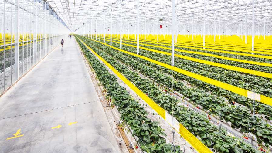 Mastronardi Produce opens operations center in Laredo, Texas