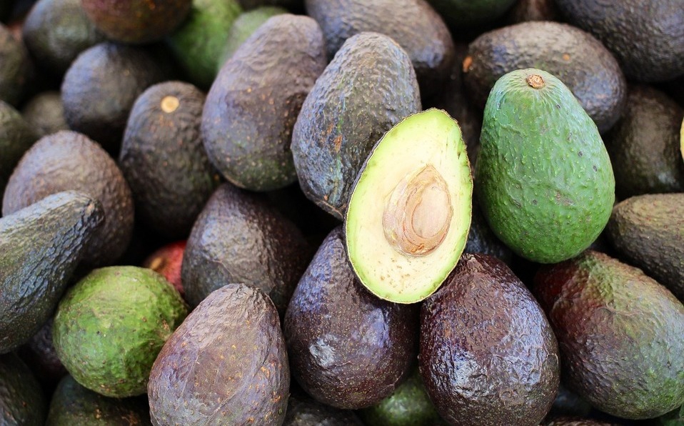 Mexican avocado exports break record