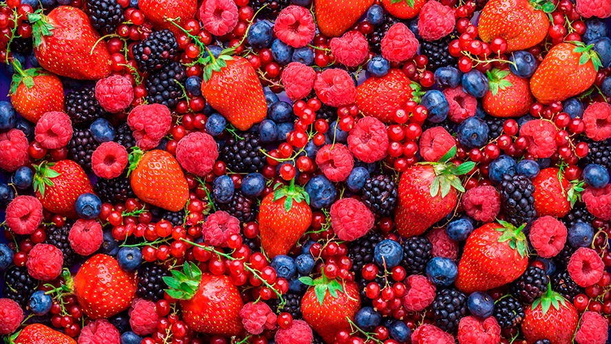 Exports of Mexican berries increase