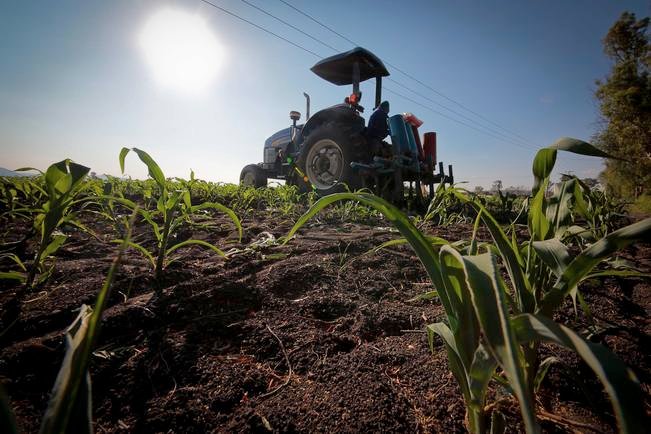 Bajío, with high potential for protected agriculture development