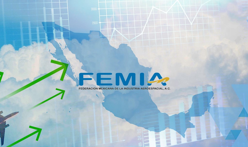 Synergy is needed in the region: FEMIA