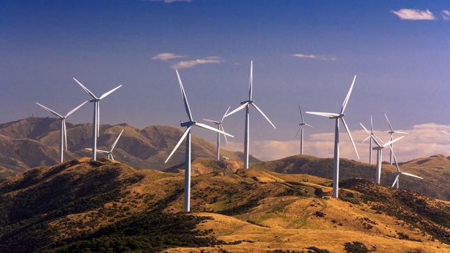 Oaxaca wind power project halted