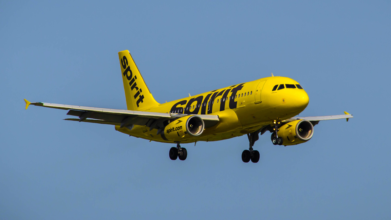 Spirit opens route from Monterrey to Texas