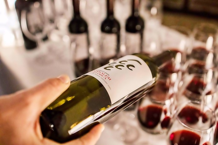 Queretaro launches the first wine cluster in Mexico