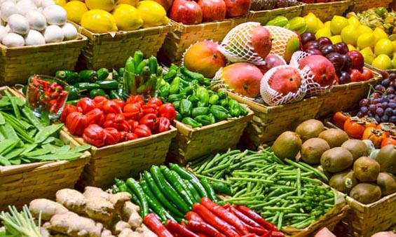 Mexico achieves an agri-food surplus of US$3.7 billion