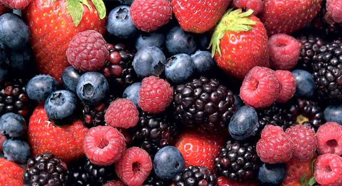 Exports of berries and blueberries increased by 8.78% in the first half of 2022