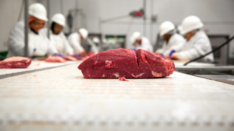 Meat production increases in Queretaro