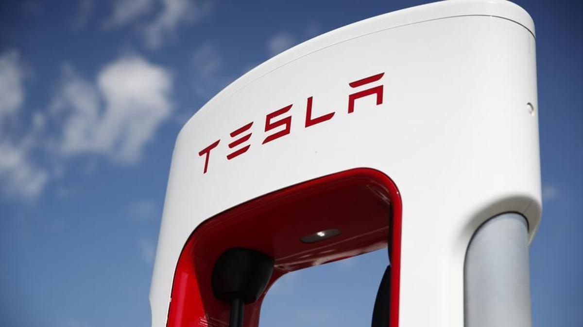 Chihuahua interesado en Tesla – MEXICONOW