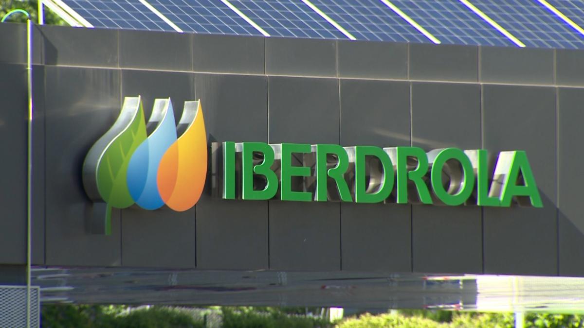 Government agrees to purchase 13 plants from Iberdrola