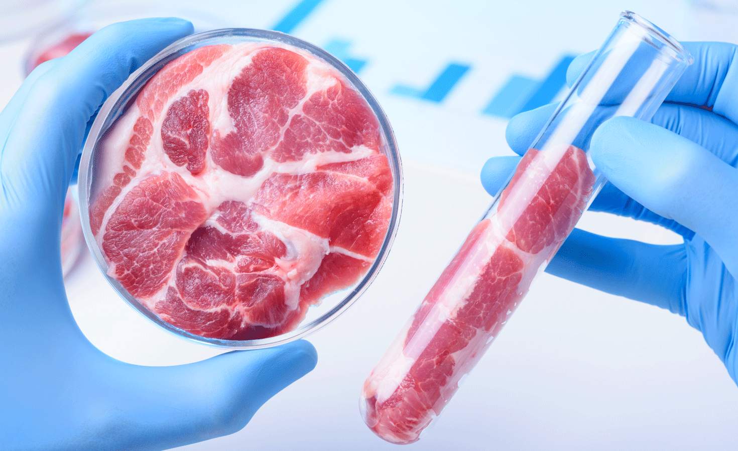 Mexican laboratory creates artificial meat
