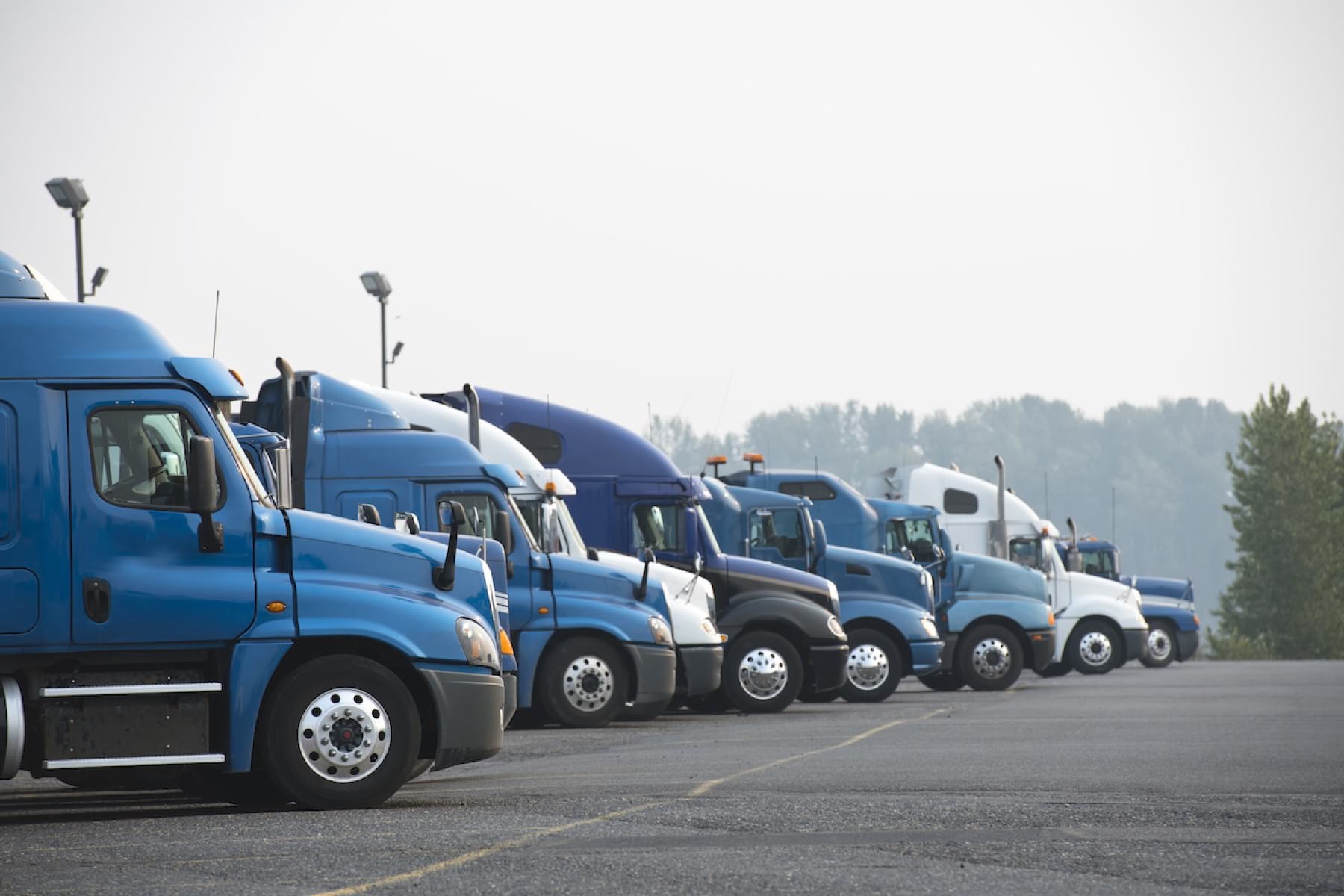 Heavy vehicle sales start the year with increases