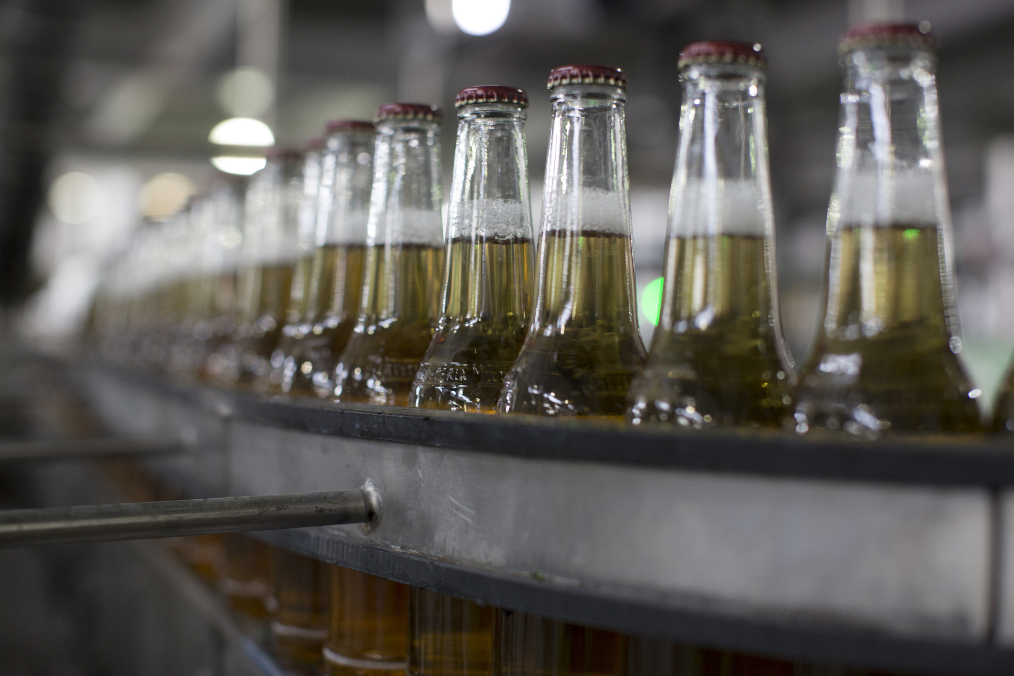 Mexican beer exports increase by 33.8% in first two months of 2024