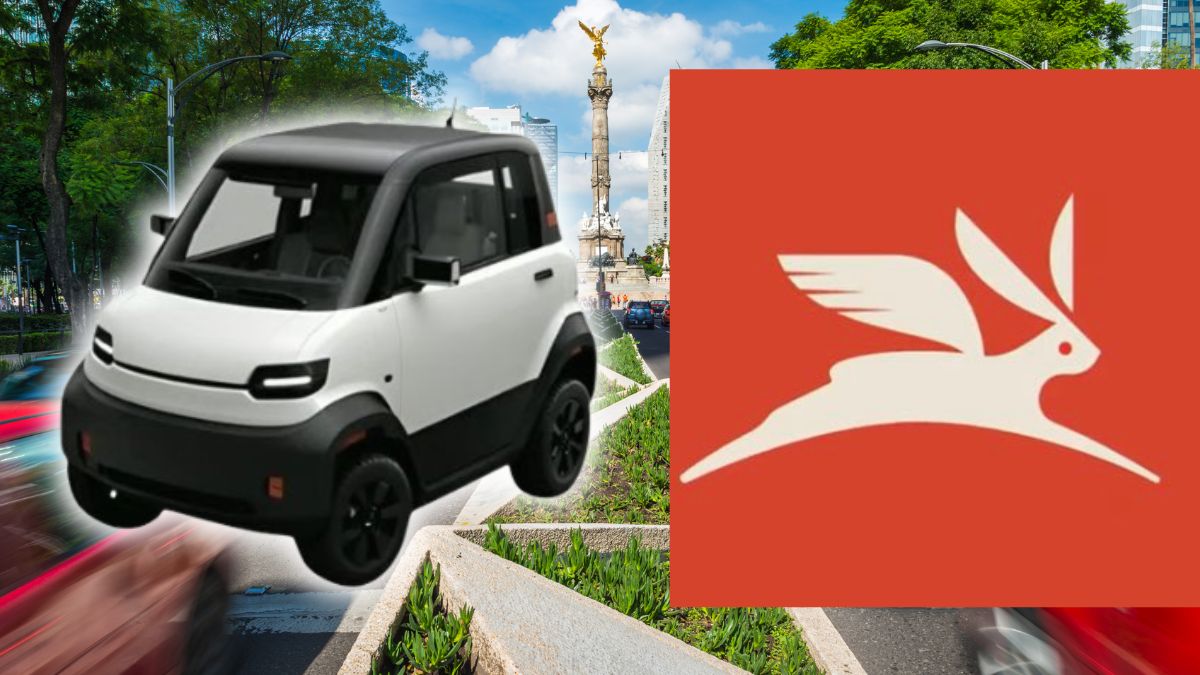 Olinia’s fleet will be ready by 2026