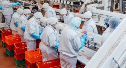 Tamaulipas, Baja California, and Tlaxcala Lead Wage Growth in 2025