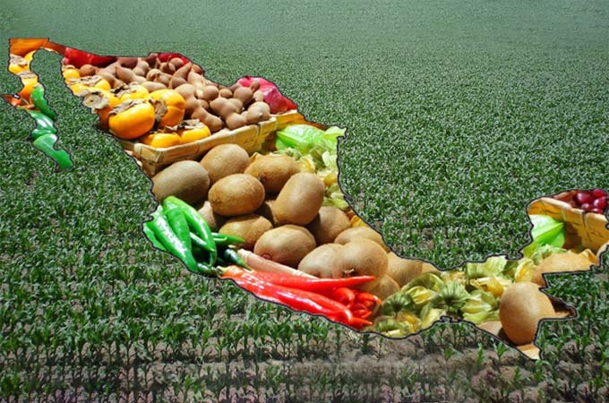 Agricultural exports fell by 14.8% in Querétaro