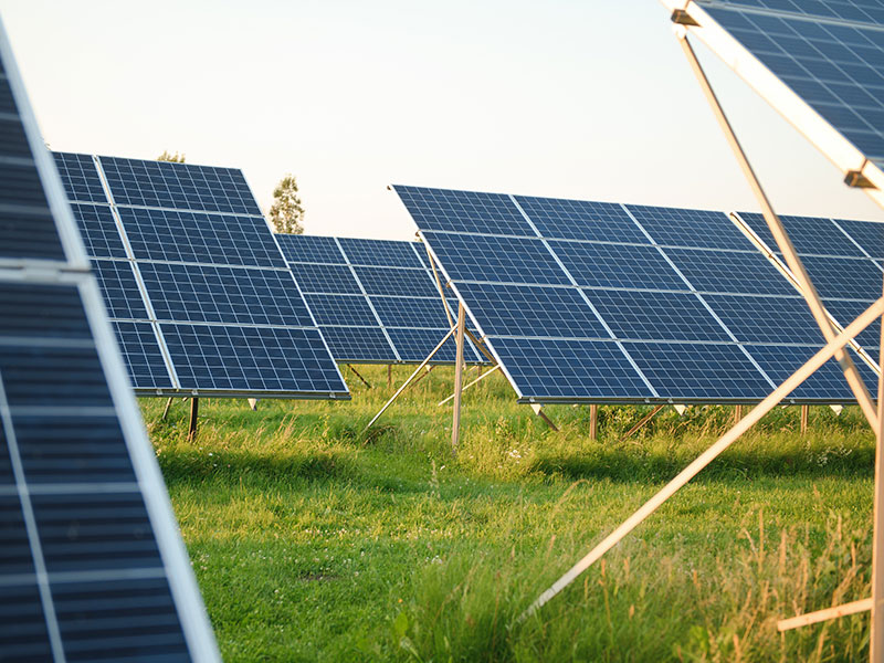 A step toward decarbonization: Audi Mexico opens a solar farm in Puebla