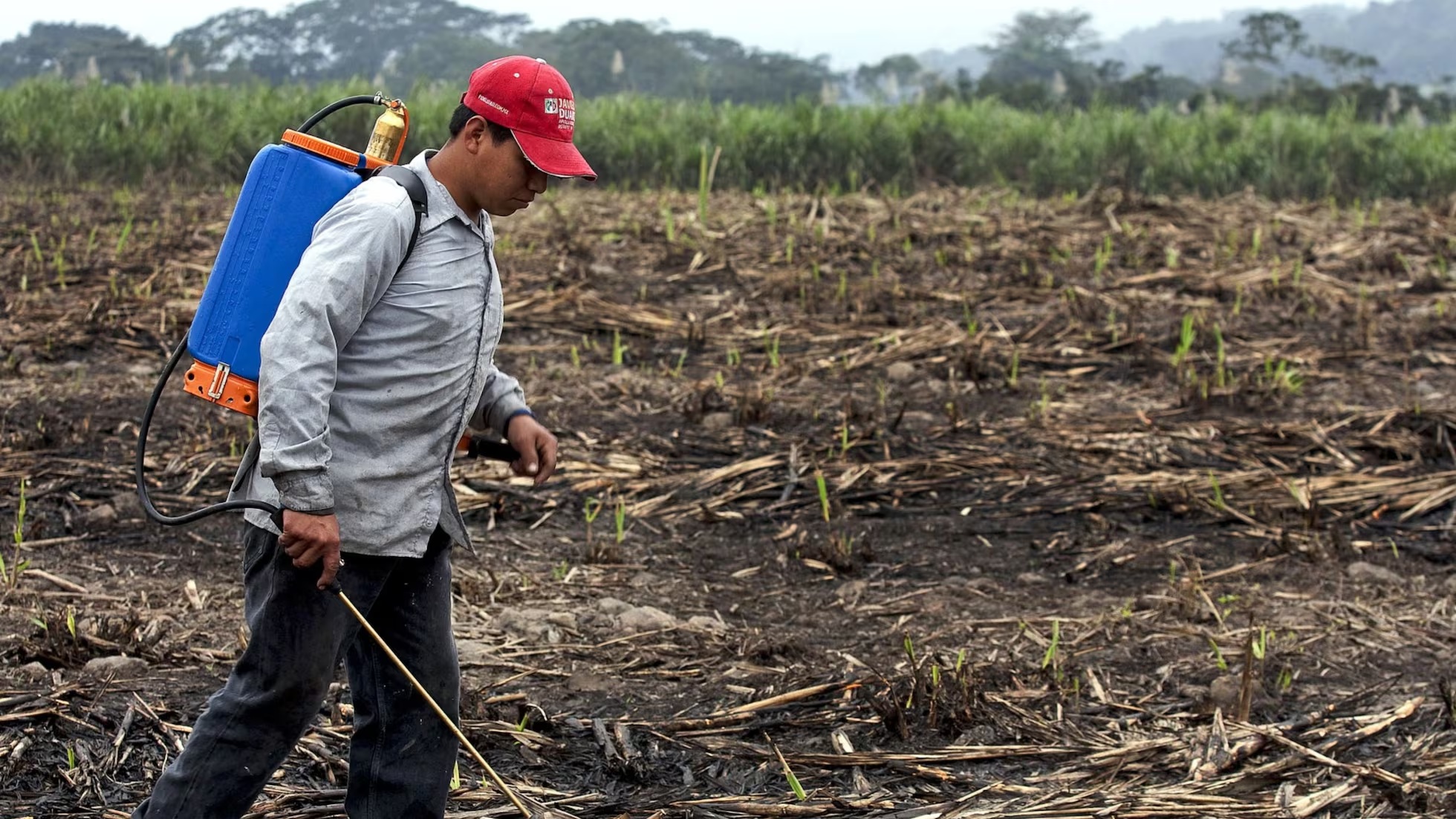 Rise in fertilizer prices