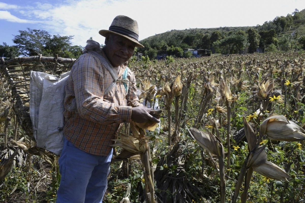 “Sembrando Vida” boosts farmers’ income