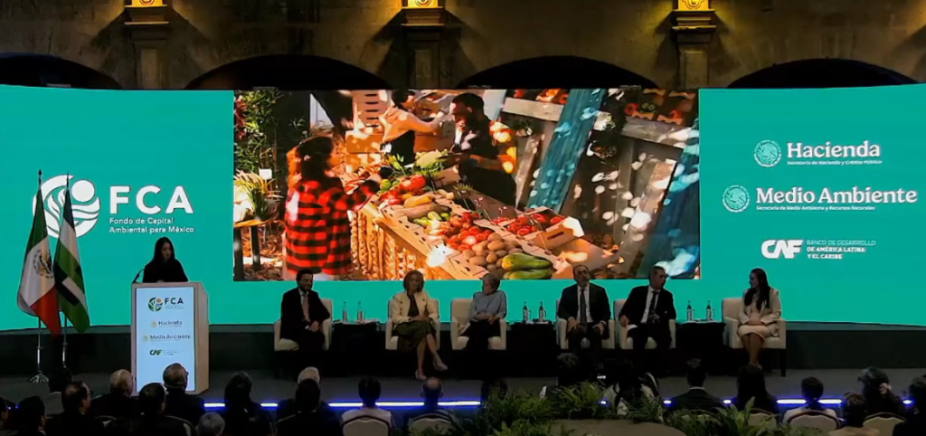 Groups create the Environmental Capital Fund for Mexico