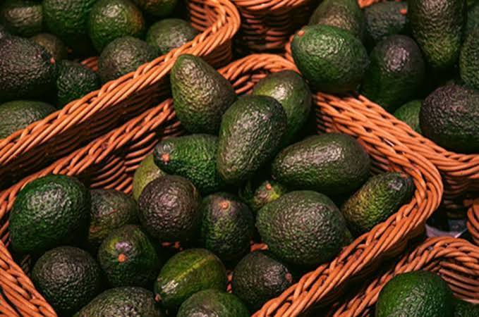 South Korea: New Market for Jaliscience Avocados