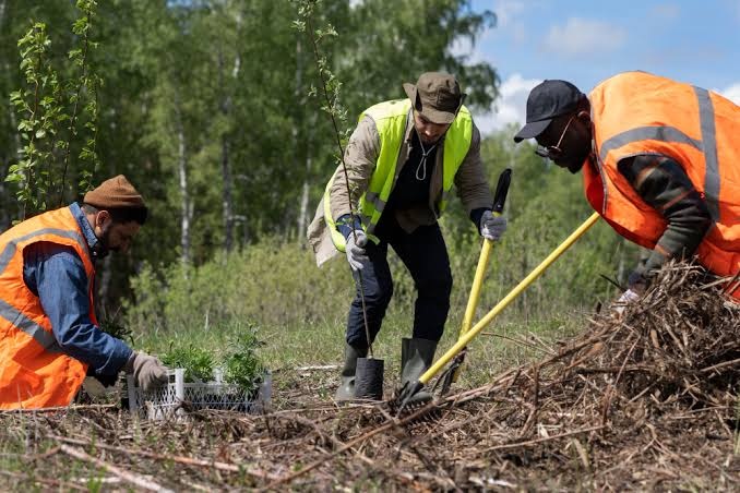 Government plans to invest in environment projects