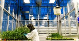 Green Light Biosciences will invest US$100 million