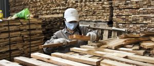 Decline in the Wood Manufacturing and Construction Industry in Querétaro