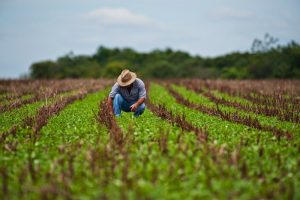 Producer prices rose 2.99% year-over-year in August