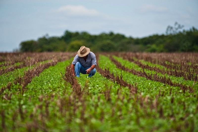 Producer prices rose 2.99% year-over-year in August