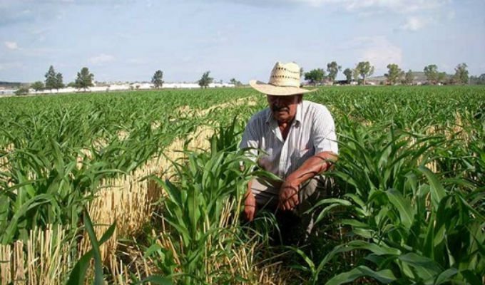 Jalisco Seeks to Train Agricultural Exporters