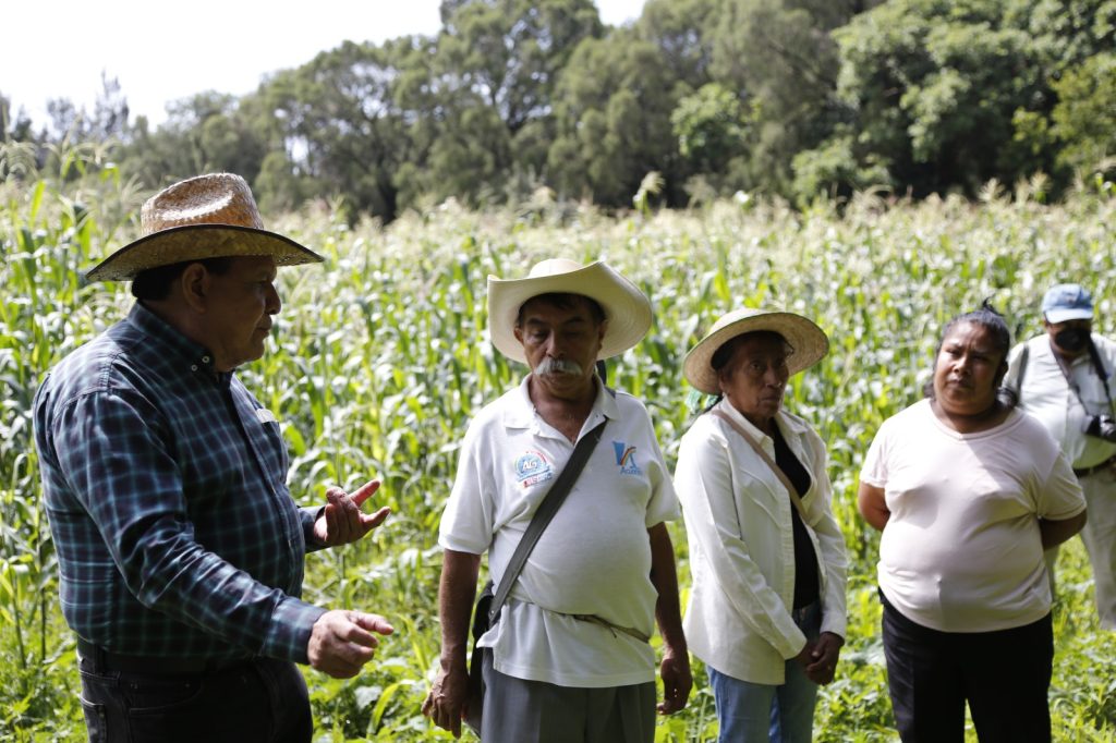 Producer prices in Mexico record annual increase