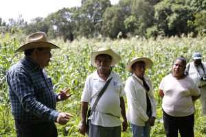 Producer prices in Mexico record annual increase