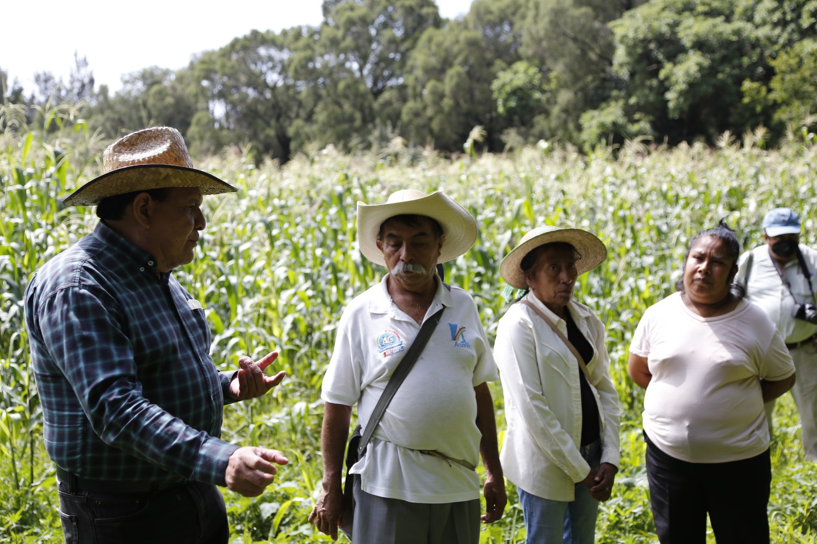 Producer prices in Mexico record annual increase